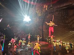 -重庆国际马戏城