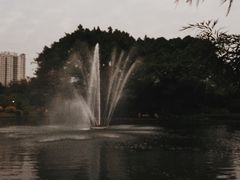 -晓港公园