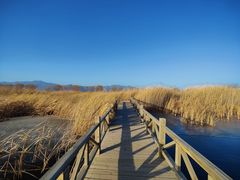 -野鸭湖国家湿地公园