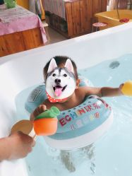 -王子羊孕婴童连锁(水景店)