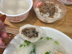 -海丝金凤(金鱼店)