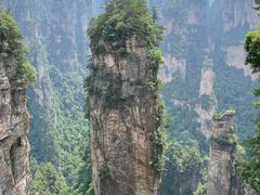 -印象鲵宴·张家界地标美食名片(溪布街店)