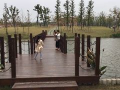 -上海长兴岛郊野公园