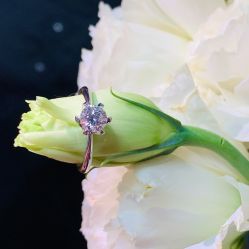 -Zbird钻石小鸟·钻戒婚戒定制高端珠宝私人定制中心