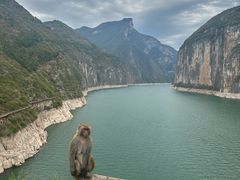 -白帝城·瞿塘峡景区