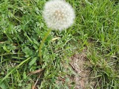 -北戴河圣蓝海洋公园