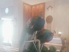 -西双版纳融创皇冠假日度假酒店