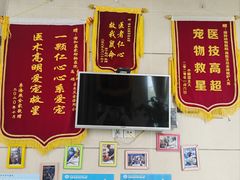 -谐和益家动物医院·免疫绝育·血液透析·宠保定点医院(高新伊藤分院)
