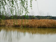 -河姆渡遗址博物馆