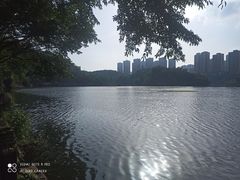 -重庆彩云湖湿地公园