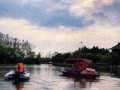 -溱湖国家湿地公园