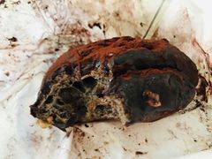 -LELECHA乐乐茶(新街口大洋店)