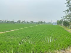 -嘉北郊野公园