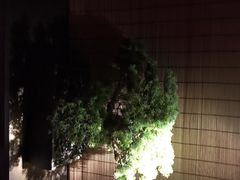 -足本纪·足道 SPA 简餐 小吃(百官广场店)