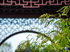 -宛园