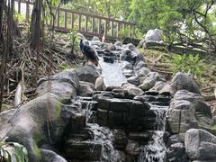 -吉隆坡雀鸟公园
