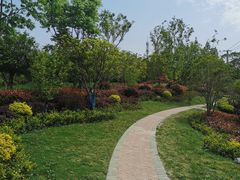 -上海佘山国家森林公园天马山园