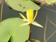 -荔湾湖公园