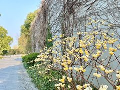 -养云安缦吧THE BAR