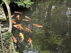 -鹤冈八幡宫