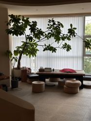 -阿南达·瑜伽普拉提·阿育吠陀疗愈中心