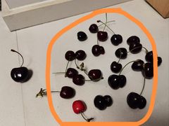 -江杨农产品批发市场