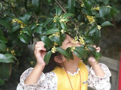 -杭州少年儿童公园