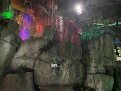 -泉城欧乐堡海洋极地世界