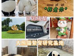 -成都大熊猫繁育研究基地