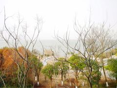 -上海滴水湖皇冠假日酒店