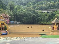 -西双版纳原始森林公园
