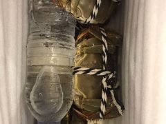-七的湖·晚芳亭·阳澄湖农家菜·大闸蟹(莲花岛店)