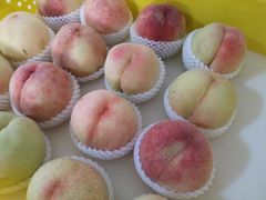 -老袁家蜜桃农场·阳山水蜜桃