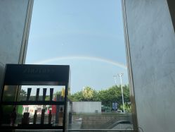 点击看大图 -金棕榈