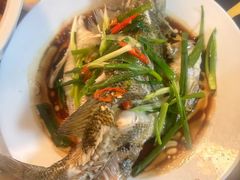 -天鹅到家·保姆月嫂育儿嫂(总店)