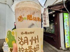 -猫的魔法密林(衣裳街店)