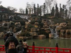 -秀丽东方