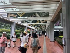 -香港大学