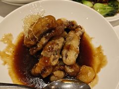 -南麓·浙里(外滩店)
