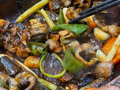 -天宝食坊·啫啫煲大排档(西华路店)