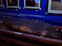-摩梭篝火晚会