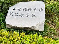 -星海湾跨海大桥