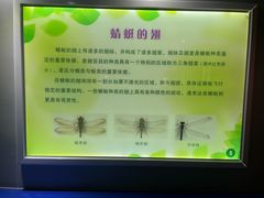 -上海昆虫博物馆