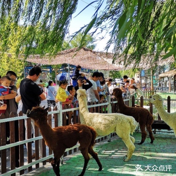 128元与小动物们亲密接触一小时