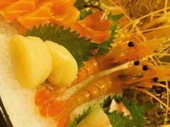 -王鼎精致料理铁板烧(世博源店)