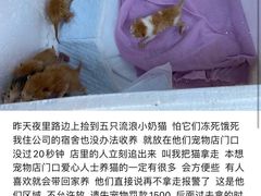 -瑞鹏宠物医院·内科·中兽医·骨科(苗圃店)