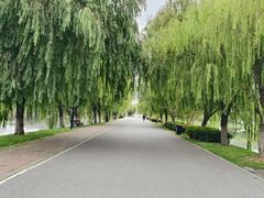 -东湖落雁景区