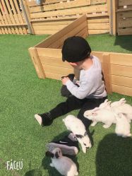 -萌宠亲子动物乐园(槐房万达店)