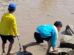 -南汇嘴观海公园