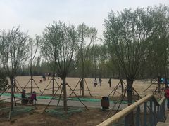 -东郊湿地公园